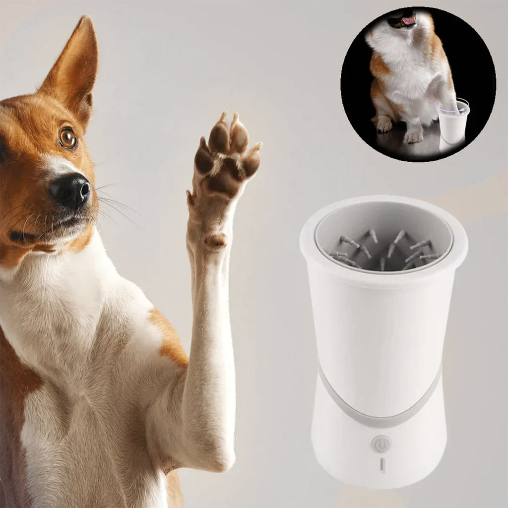 Mudless Paw Spa