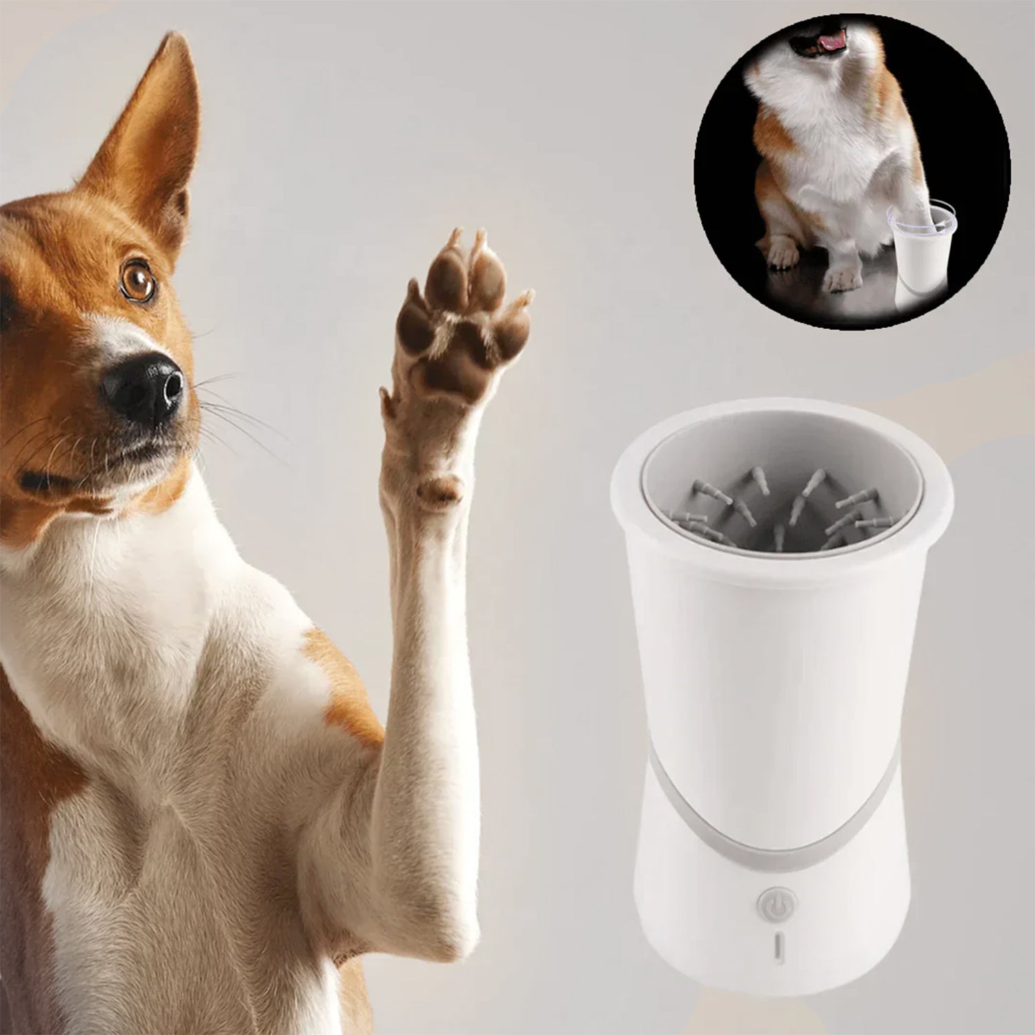 Mudless Paw Spa